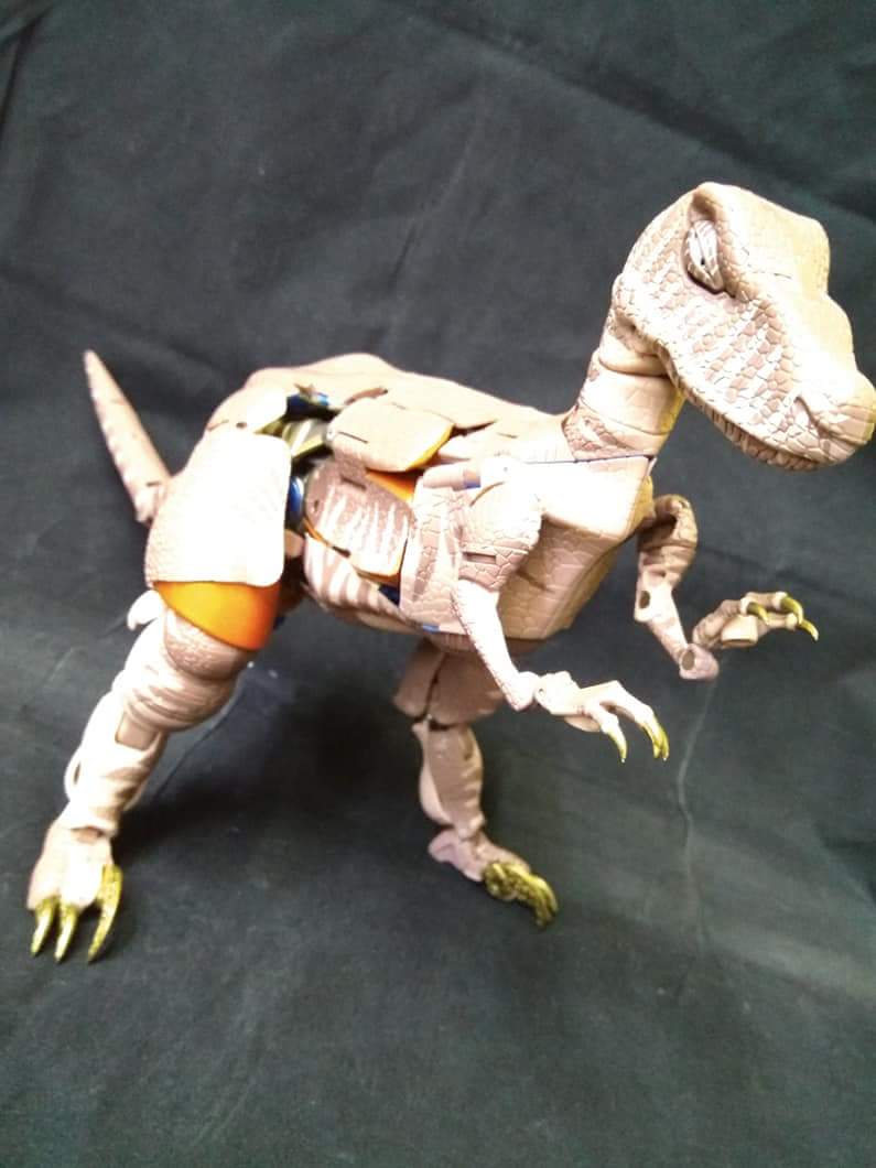 [Masterpiece] MP-41 Dinobot (Beast Wars) - Page 2 FwQGrv80_o