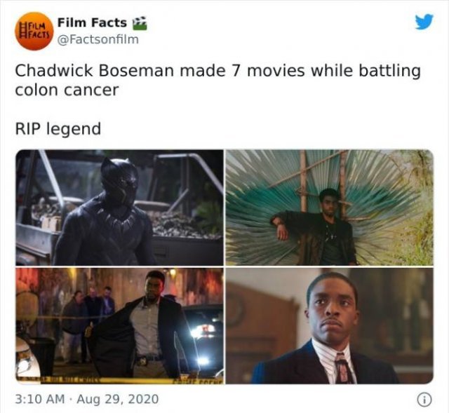 MOVIE FACTS...3 XLDNgsAN_o