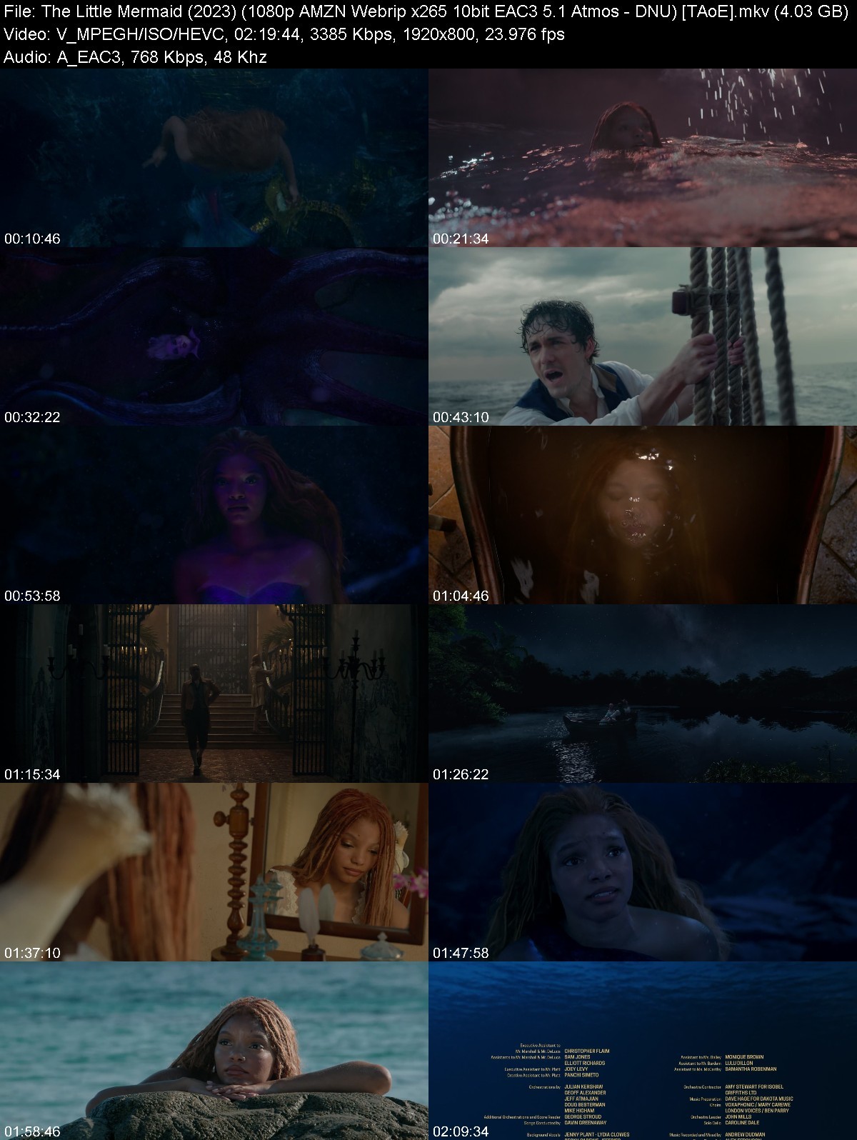 The Little Mermaid 2023 1080p AMZN Webrip x265 10bit EAC3 5 1 Atmos-DNU [TAoE]