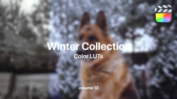 Winter Luts Collection Vol 12 - VideoHive 50022429