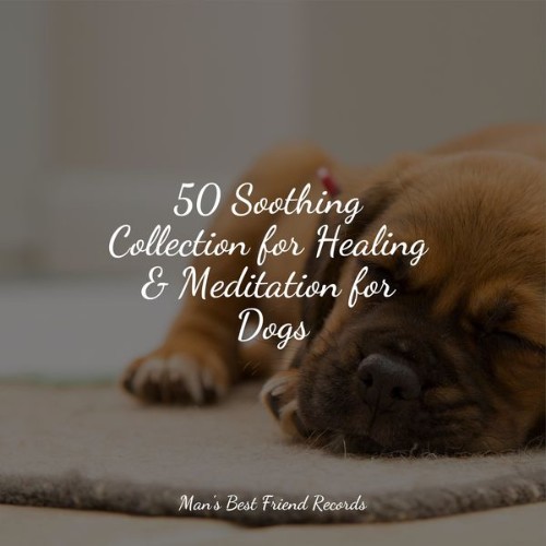 Music for Calming Dogs - 50 Soothing Collection for Healing & Meditation for Dogs - 2022