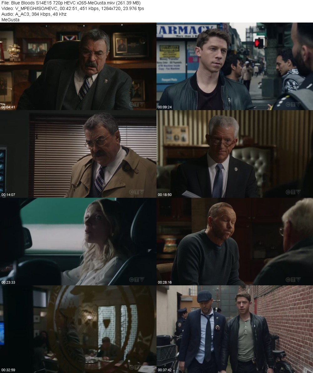 Blue Bloods S14E15 720p HEVC x265-MeGusta