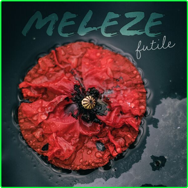 Mélèze Futile (2024) WEB [FLAC] 16BITS 44 1KHZ 8e70LICp_o