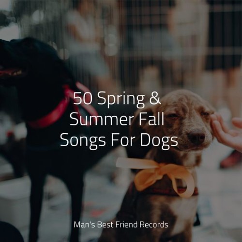 Calm Doggy - 50 Spring & Summer Fall Songs For Dogs - 2022