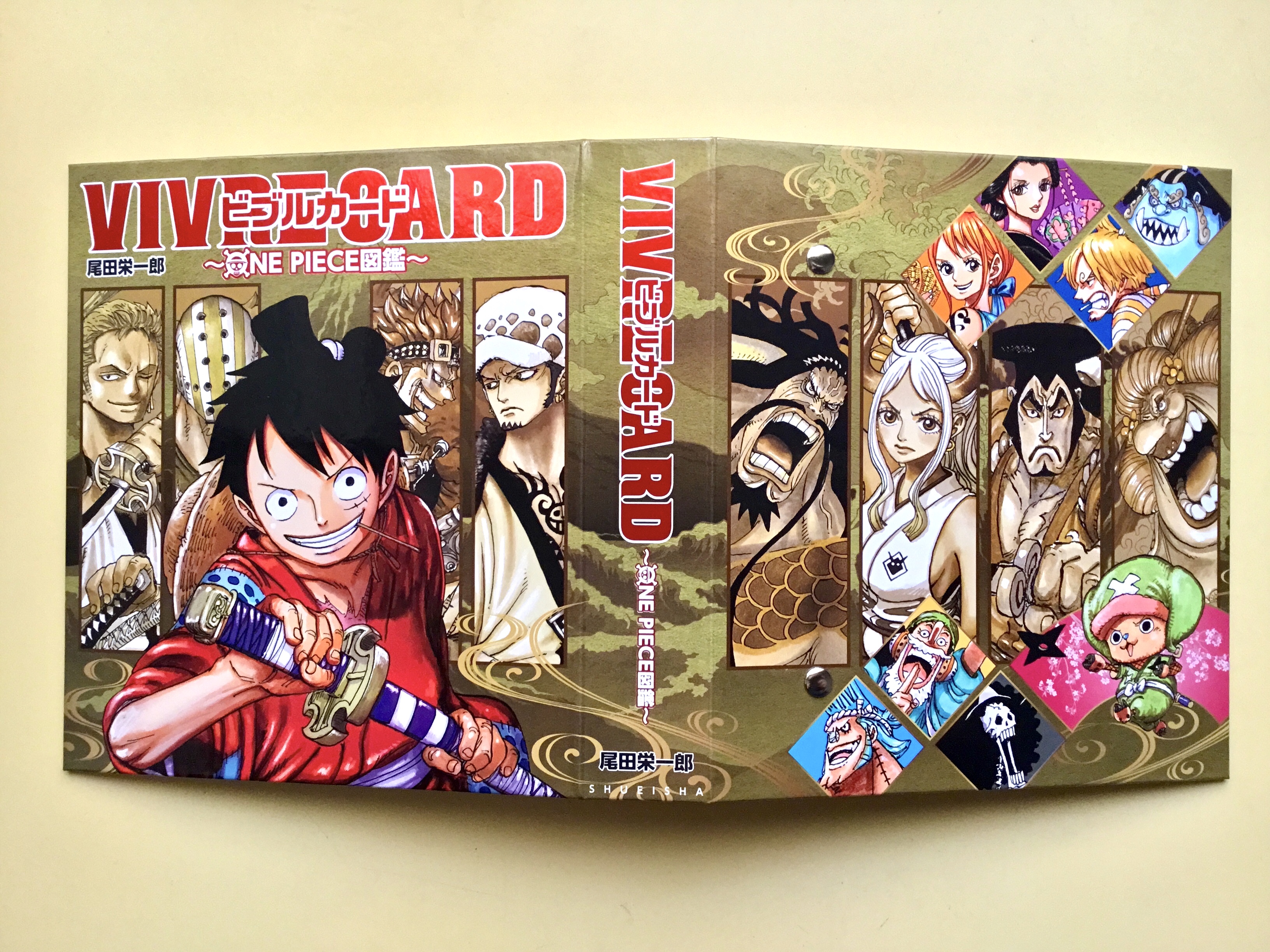 人気ブランド Vivre Card One Piece図鑑 ファイル ｉｎｄｅｘセット 少年漫画