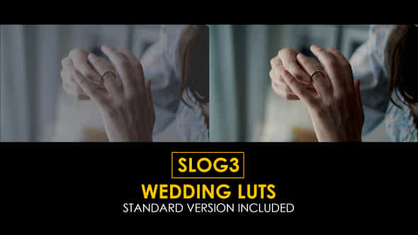 Slog3 Wedding and - VideoHive 40914790