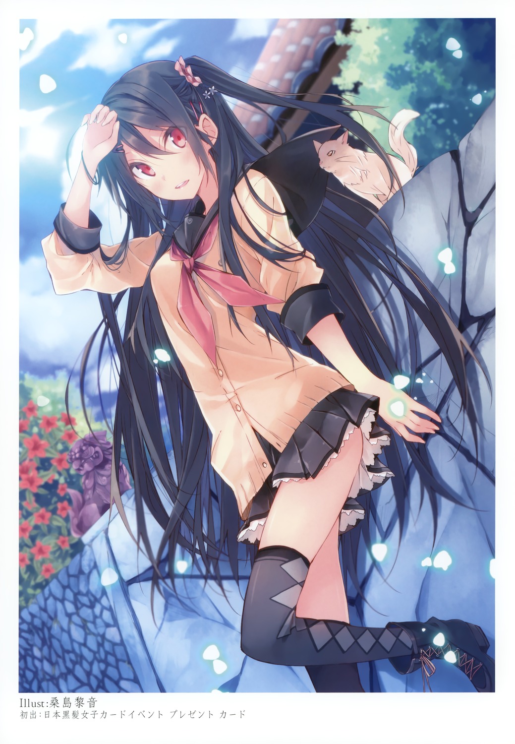 image host