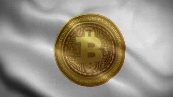 Bitcoin White Flag Flag Loop - VideoHive 30443339