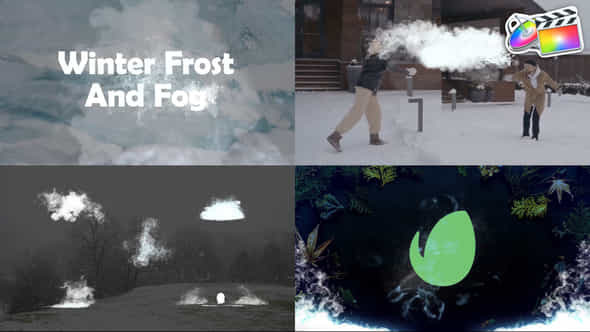 Winter Frost And - VideoHive 41973098