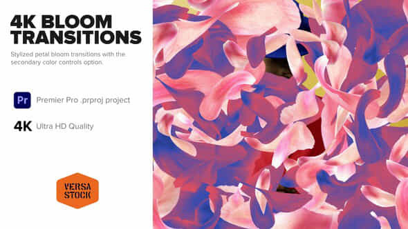 Bloom Transitions 4K - VideoHive 43591723