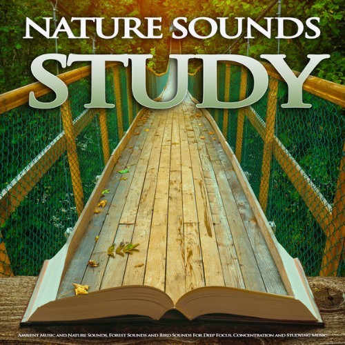 Study Music & Sounds - Nature Sounds Study Ambient Music and Nature Sounds, Forest Sounds and Bir...