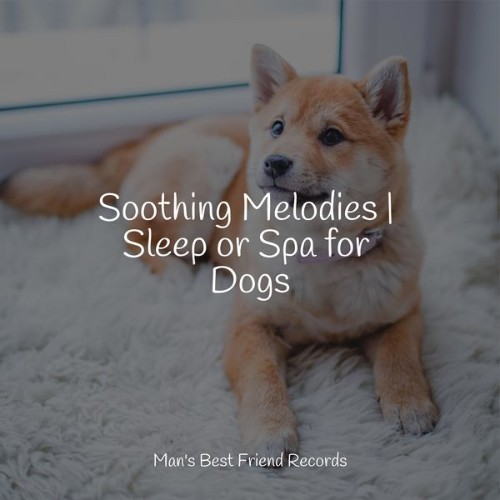 Music for Leaving Dogs Home Alone - Soothing Melodies  Sleep or Spa for Dogs - 2022