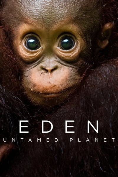 Eden Untamed Planet S01E01 720p HEVC x265-MeGusta