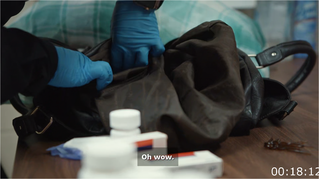 Contraband Seized At The Border S04E08 [1080p] (x265) CPnts24O_o