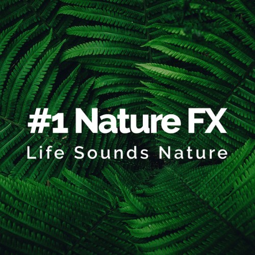 Life Sounds Nature - #1 Nature FX - 2019