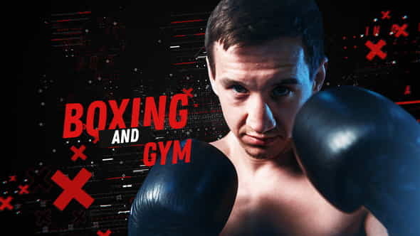Boxing and Gym - VideoHive 23153029