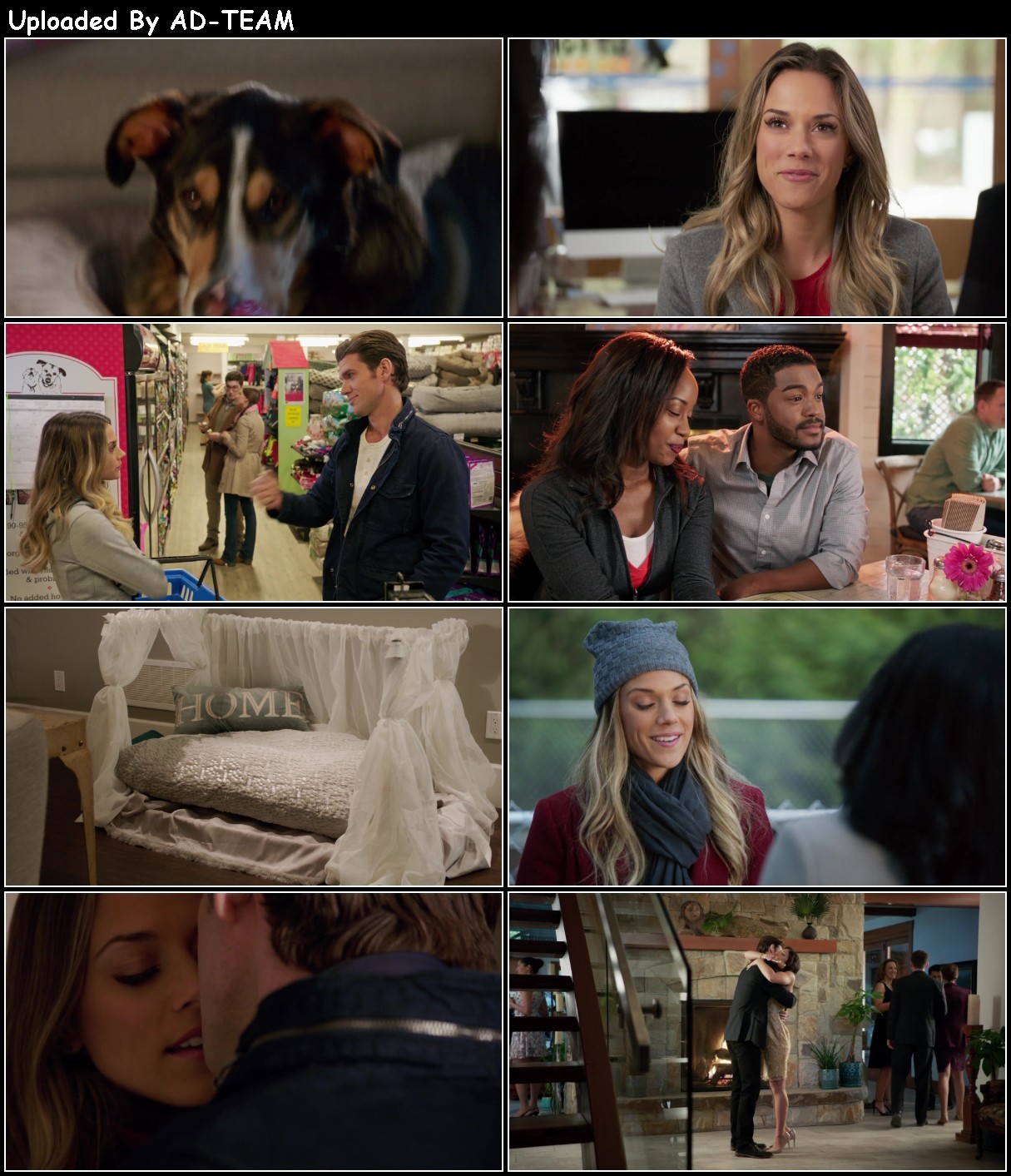 Love At First Bark (2017) 1080p [WEBRip] 5.1 YTS ZL0AI8Sc_o