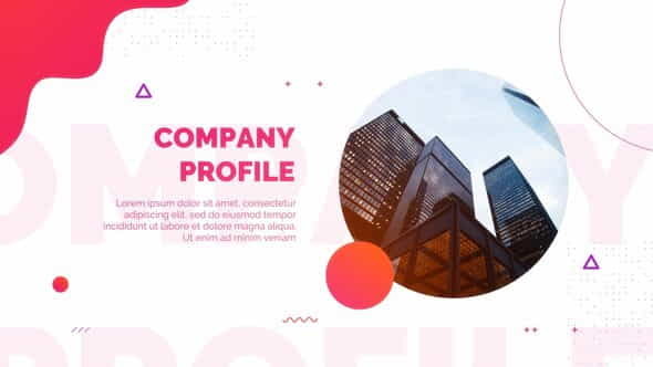 Company Profile - VideoHive 27034830