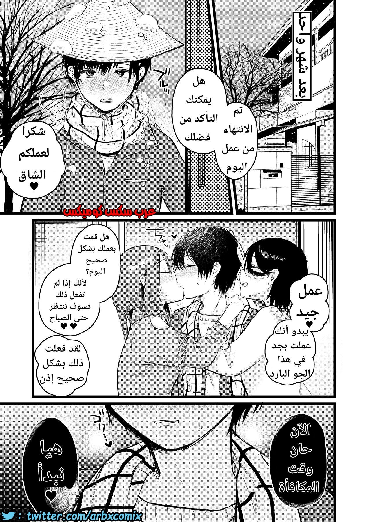 1133 قرية الفيمدوم