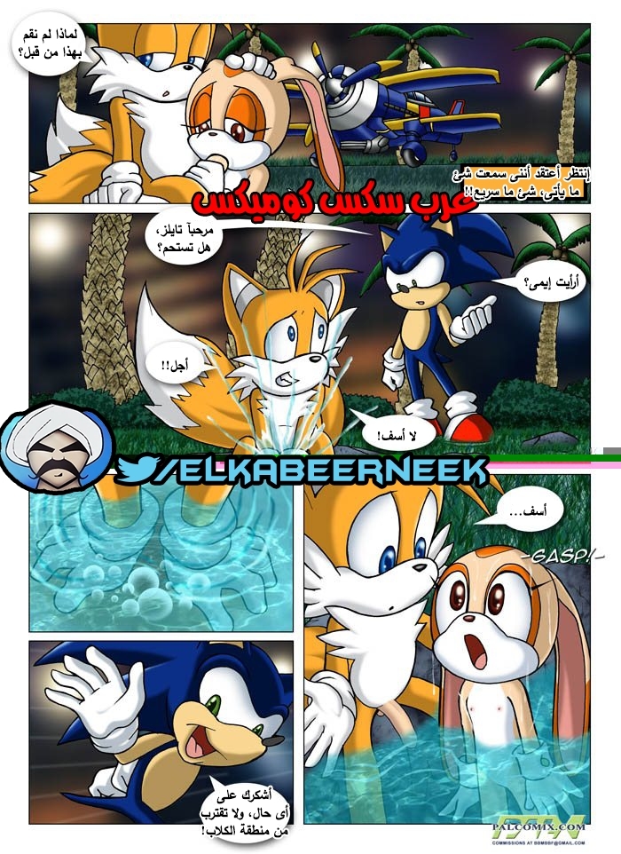 315 سونيك والبحث عن إيمى