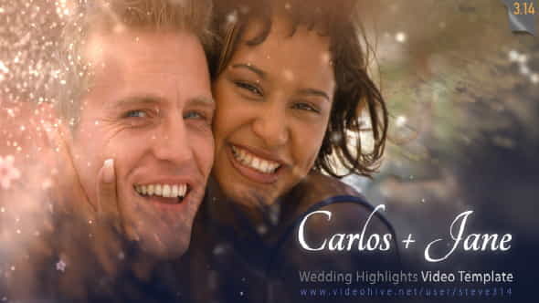 Wedding Highlights - Video Template - VideoHive 6679531