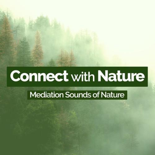 Mediation Sounds of Nature - Connect with Nature - 2019