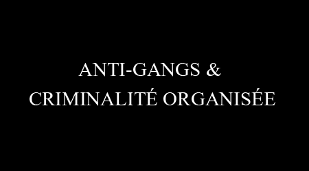 Anti-gangs & criminalité organisée