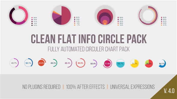 Clean Flat Info Circle Pack - VideoHive 14937807