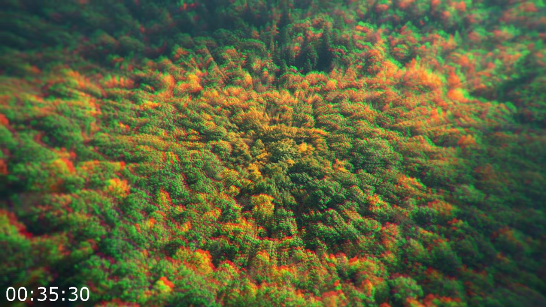 [Image: efFAQIIW_o.png]