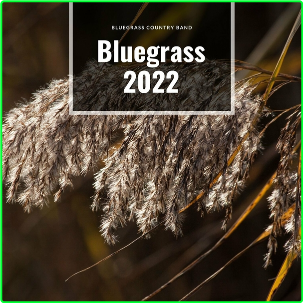 VA Bluegrass Country Band Bluegrass (2022) WEB [320 Kbps] Z57ksKEH_o