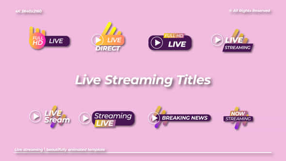 Live Streaming After Effects - VideoHive 48977639