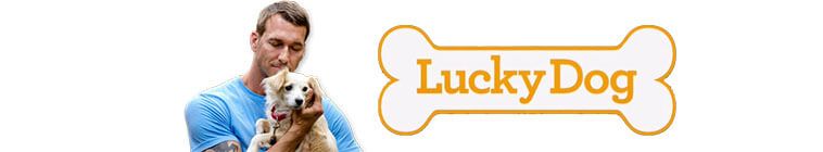 Lucky Dog S01E06 WEB x264-LiGATE