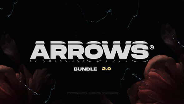 Arrows - VideoHive 44180380