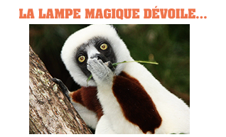LA LAMPE MAGIQUE - Page 36 IRPbm10K_o