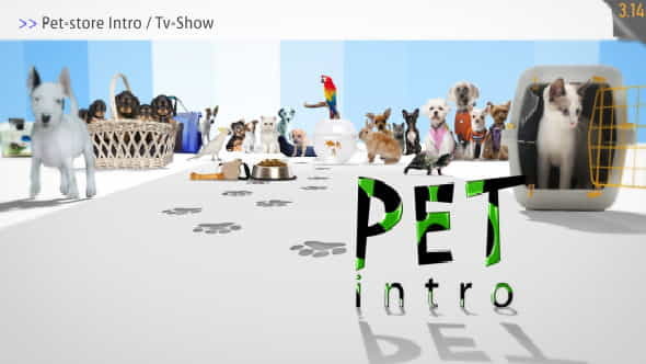 Pet Store Intro - Tv - VideoHive 1952833
