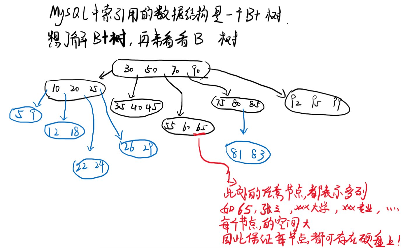 image-20211204195056288