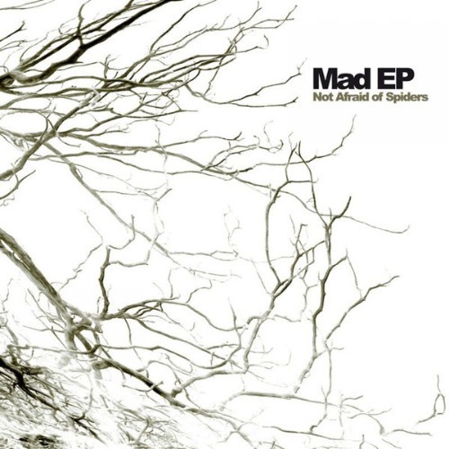 Mad EP - Not Afraid of Spiders - 2006