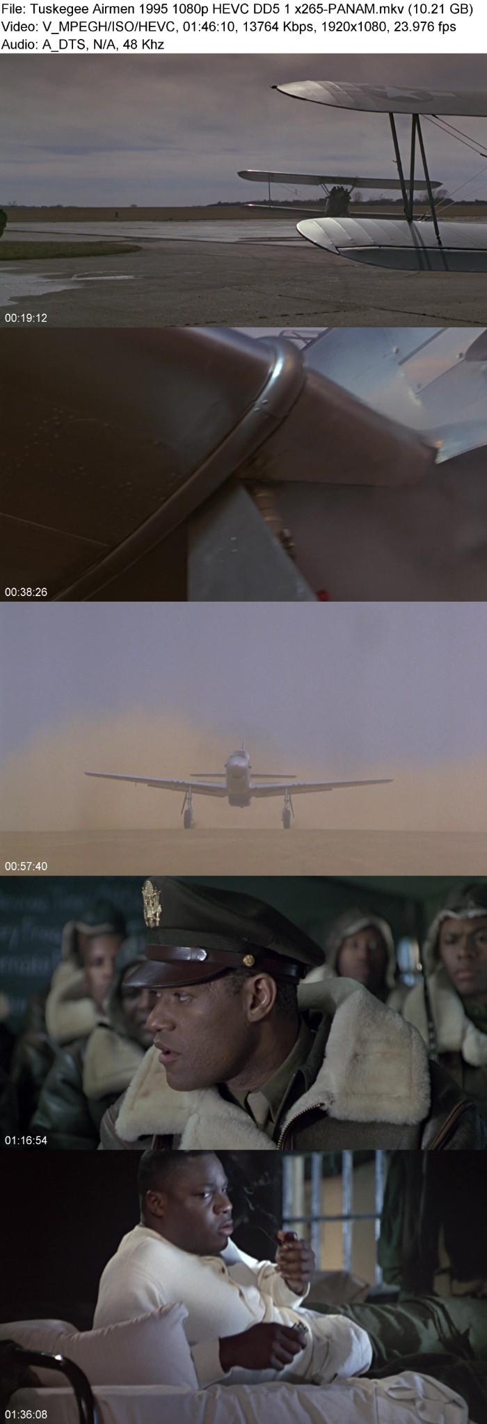 Tuskegee Airmen 1995 1080p HEVC DD5 1 x265-PANAM M1wzBLlo_o