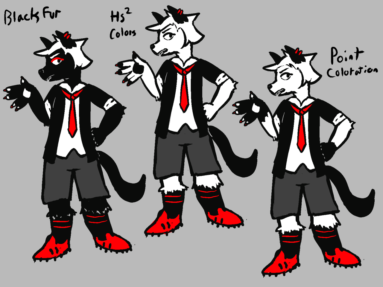 Color explorations belending both the canon design and my furry one. The first one has all black fur, the second has a patterning mimicing the human design, and the last one is white with black point colors.