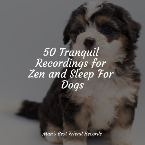 Pet Care Music Therapy - 50 Tranquil Recordings for Zen and Sleep For Dogs - 2022