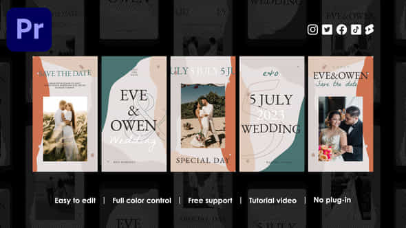 Wedding Instagram Stories - VideoHive 48694904