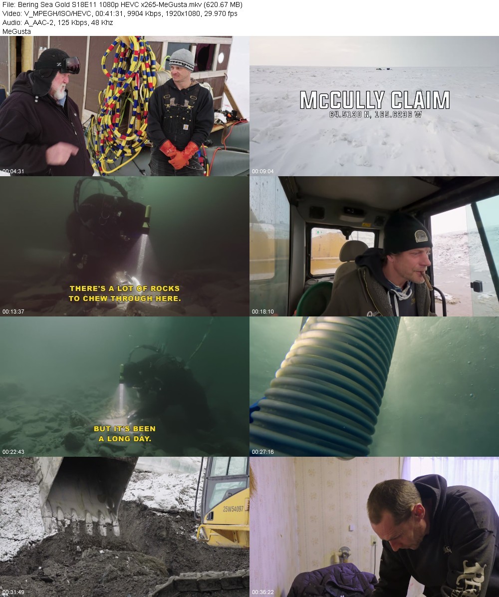 Bering Sea Gold S18E11 1080p HEVC x265-MeGusta