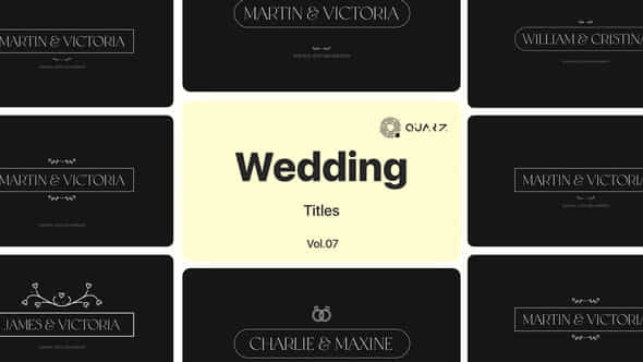 Wedding Titles Vol 07 - VideoHive 48762423