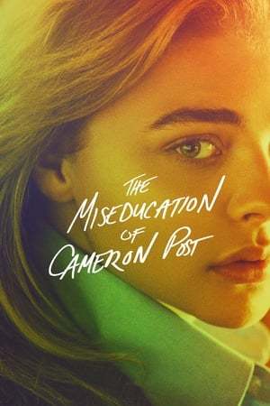 The Miseducation of Cameron Post 2018 720p 1080p BluRay