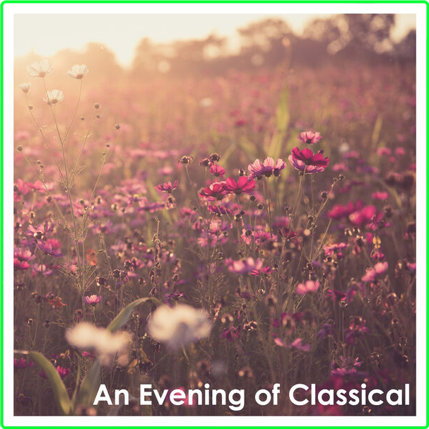 Various Artists - An Evening Of Classical Mozart (2024) [320 Kbps] MY5wnFCT_o