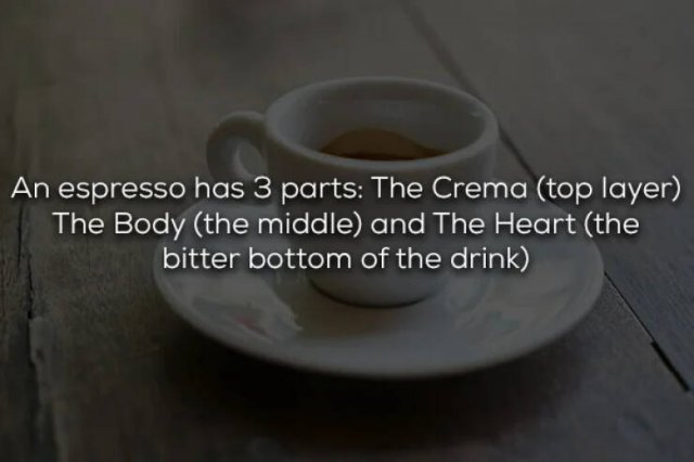 COFFEE FACTS Li8n9pjz_o