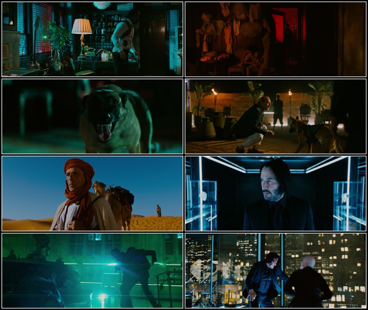 John Wick Chapter 3 Parabellum (2019) 1080p BluRay AV1 DDP 5 1-dAV1nci QC1l3zcb_o