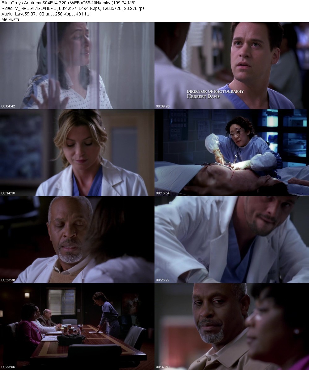 Greys Anatomy S04E14 720p WEB x265-MiNX