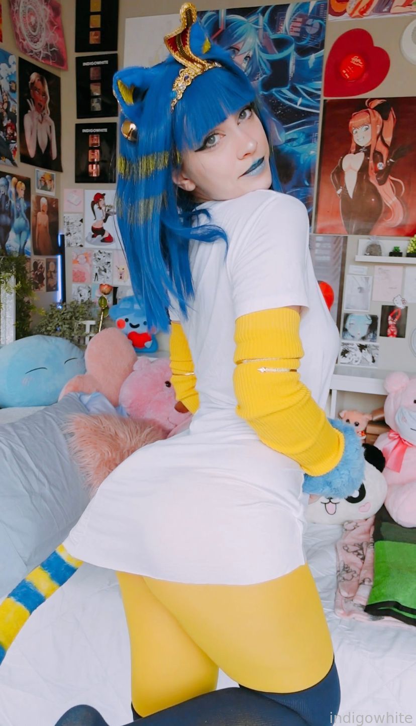 Indigo White - Ankha