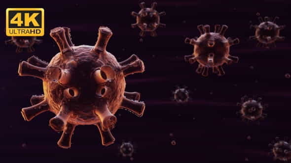 COVID-19 Coronavirus - VideoHive 26125307